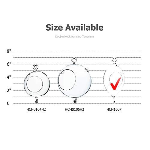 WGV Hanging Terrarium, Width 3.5", Height 7", Oblong, Double Hook, DIY Air Succulent Planter, Clear Glass Vase Orb, Candle Holder for Windowsill Outdoor Garden Decor, 6 Pieces Bulk - size: 7" Oblong Double Hook