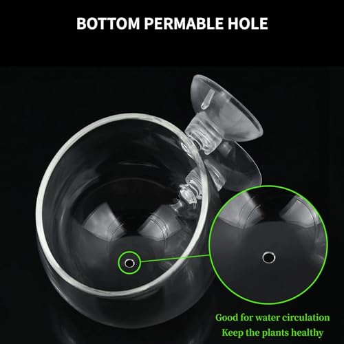 2 PCS Aquarium Plant Holder Top Hanging Fish Tank Plant Pot Aquarium Planter Cups for Water Feature Decoration - color: Round - Clear