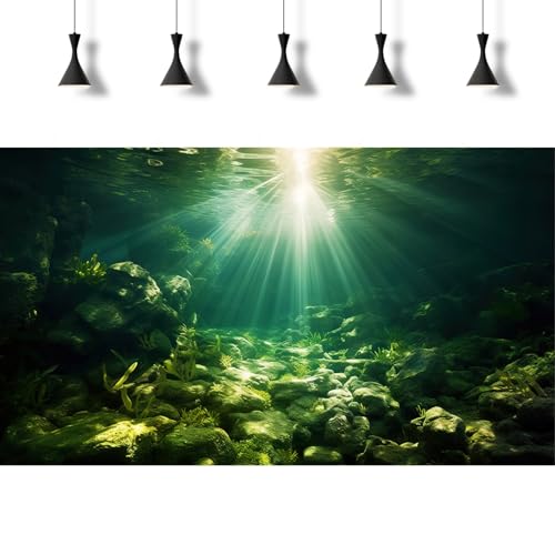 Underwater Sunray Aquarium Background Deep Ocean Rock Cave Fish Tank Background Under The Sea Coral Reef Aquarium Backgrounds Ocean Floor Tropical Fish Terrarium Backgrounds 24x12in - color: Dark Green, size: 24(W)x12(H)inches/ 60(W)*30cm(H)