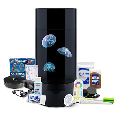 Jellyfish Art Jelly Cylinder 5 (Aquarium only kit) - Beginner Aquarium for Live Jellyfish (Black)