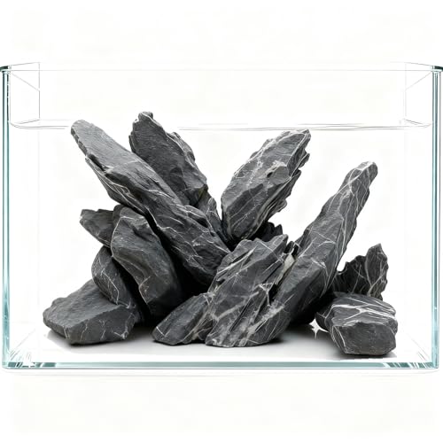 10lLBS Aquarium Rocks Seiryu Stone Natural Hardscape Stone for DIY Aquariums, Fish Tanks, Bonsai, Terrariums, Paludarium Amphibian Enclosures (10Lb (3-8 inch), Seiryu Stone) - size: 10Lb (3-8 inch)