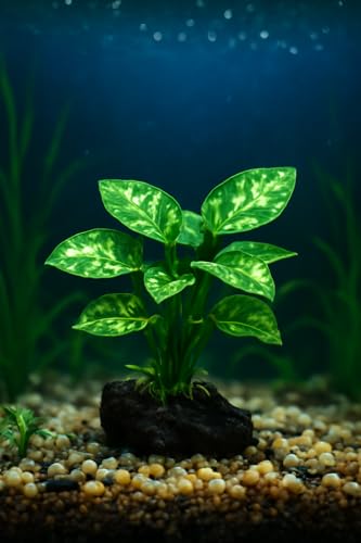 JGbaby Artificial Aquarium Plants,Fish Tank Decorations Betta Leaf Hammock 4in Realistic Silk & Plastic Plants, Hideout Decor for Betta. Goldfish,Reptiles,Small Tanks (Green Type-D) - color: Green Type-d, size: 4 inches