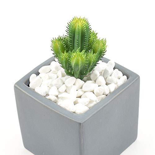 WAYBER 2 Lb/920g White Stones Decorative Pebble Rock Sand for Aquarium/Fish Turtle Tank/Vase Filler/Succulent Plants Decoration (Fill 2 Cups) - color: White, size: 2 Pounds