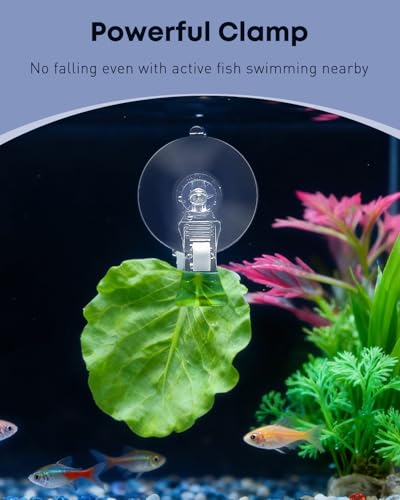 Pawfly 12 Pcs Aquarium Suction Cups with Clips, Plant Leaf Seaweed Clip, Fish Tank Accessories, Aquarium Suction Cup Clips, Clear Plastic Fish Feeding Tool, Underwater Fish Feeder, Veggie Feed Holder