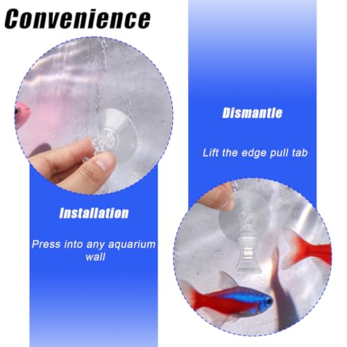 6pcs Aquarium Suction Cup with Clips, Clear Fish Feeding Tool Strong Veggie Feed Holder Plant Leaf Clip for Fish Tank Accessories