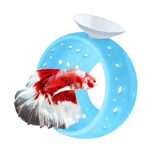 Betta Fish Tunnel with Suction Cup - Aquarium Fish Hideout Shrimp Cave Guppy Fish Tunnel Tank Accessories Aquarium Decor for Small Fish Shrimp (Blue) - color: Blue