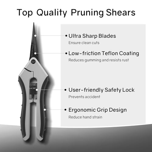 6.5" Ultra Sharp Pruning Shears - Professional Garden Scissors with Straight Stainless Steel Blades, Ergonomic Handle, Rust Resistant, Safety Lock, Trimming Scissors for Plants in Grow Tents,1-Pack - style: 6.5" Straight Blade