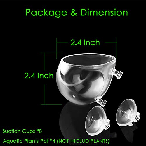 capetsma 4X Crystal Glass Aquarium Plant Pot, Aquarium Aquatic Planter, Red Shrimp Live Plants Fish Tank Glass Holder with 4X Suction Cups for Aquarium Fish Tank Decorations … (4 Pack)… - size: 4 pack