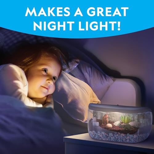 National Geographic Light Up Dinosaur Terrarium Kit for Kids – Build a Dino Habitat with Real Plants & Gemstones, Night Light, Science Kit, Dinosaur Toys for Kids Ages 6 7 8 9 (Amazon Exclusive) - style: Large Dino Habitat