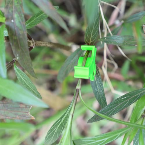 LucyPhy 60 Pack Plant Bender Angle Adjustable Plant Training Clips Low Stress Training Clips 90 Degrees Plant Stem(Circle Style,Green) - color: Green, size: 60Pack