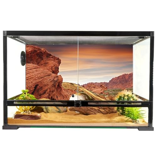 YongFoto Reptile Tank Terrarium Background 30x18 inch Desert Rocky Bush Thorns Western Wilderness Reptile Habitat Background Bearded Dragon Fish Tank Aquarium Polyester Backdrop - color: Orange-4, size: 30 x 18 in
