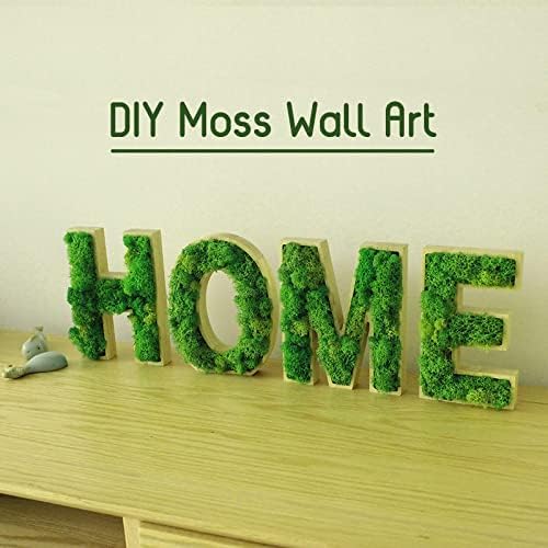 Preserved Reindeer Moss Natural Green DIY Kit Gardenning Art Wall Decor Florist Decor Easter Table Decor Wedding - color: Green-02, size: 0.85 lb
