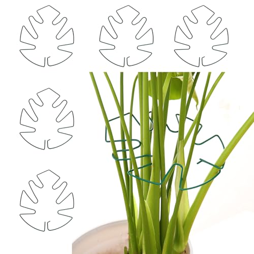 Spiritlele 5 Pcs Green Plant Stem Support Holder Set Monstera Plant Support Clamp Growth Accessories for Indoor Plants Big - color: Green, size: 7.1x6.3inch