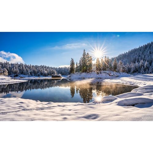 Winter Scene Aquarium Background Majestic Frosty Winter Lake Fish Tank Background Splendid Snow Covered Spruces Terrarium Backgrounds Wintry Pine Trees Reptile Tank Background Decors 24x12in - color: Bright Blue, size: 24(W)x12(H)inches/ 60(W)*30cm(H)