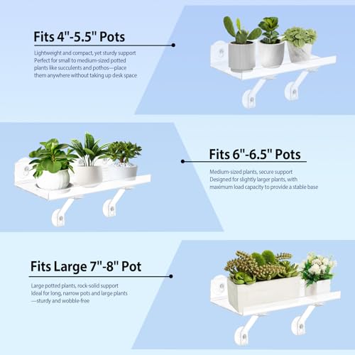 2 Pack 12 Inch Acrylic Window Boxes Plant Shelves, 6 Inch Extra-Wide Windowsill Extender – Features Suction Cups and Support Brackets for Succulents, Herbs, Seed Starting | Indoor/Outdoor Use - size: 12IN-2PC