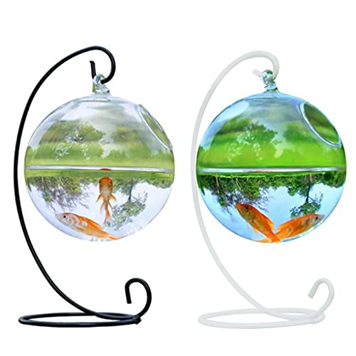 Spherical Glass Handmade Fish for Round Shape Hanging Glass Aquarium Fish Bowl Clear Plant Terrarium