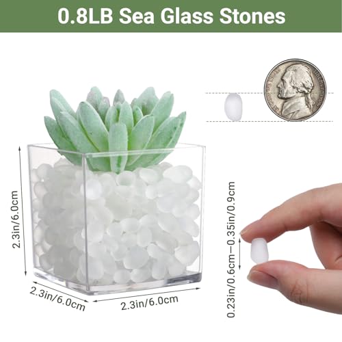 SUREAM 0.8 LB Fish Rocks, White Pebbles for Vases, Fish Gravel for Aquarium, Bulk Sea Glass Fire Pit, Vase Fillers, Aquarium, Garden Decoration and DIY Crafts - color: White