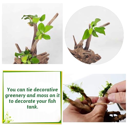 PINVNBY Natural Driftwood for Aquarium Fish Tank Decorations Assorted Branches Bearded Dragon Tank Accessories Terrarium Decor (6.5-12 inches/4 Pack) - size: M:Mopani Driftwood (6.5 - 12 inches/4 Pack)
