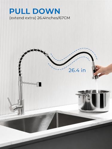WEWE Kitchen Sink Faucet, Kitchen Faucets with Pull Down Sprayer Stainless Steel Single Handle Single Hole Brushed Nickel Commercial Industrial Spring Pull Out Laundry Farmhouse Kitchen Faucet - color: Brushed Nickel, style: Antique