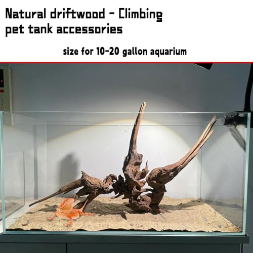 Hamiledyi Aquarium Driftwood, Natural Large 7-15in Coral Driftwood for Aquarium Decor Reptile Tank Decor Terrarium Ornament Wood Branch Trunk Stump for Fish Betta Lizard - size: XL:Mopani Driftwood (7-15in 1PCS)