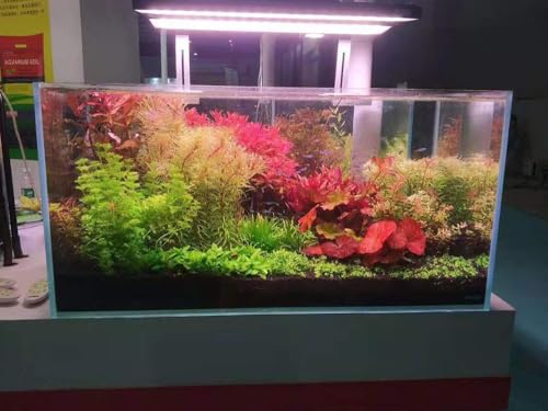 Allcolor Artisan Grade Ultra Clear Rimless Aquarium Tank, Low Iron Glass Fish Tank for Professional Aquascaping and Planted Layouts, 6-60 Gallons (34Gal - Anti-Jumping net) - size: 34Gal 35.4"L×15.7"W×15.7"H