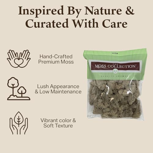 Quality Growers - Preserved Reindeer Moss - Moss for Crafts, Home Decor, Art, Design & DIY Projects - Non-Toxic - USA Made (Natural, Medium, 2-Pack) - color: Natural, size: Medium (2-Pack)
