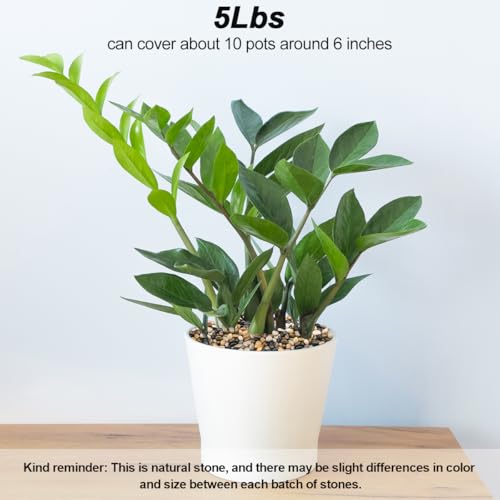 Decorative Rocks for Potted Plants,Virekm River Rocks, Decorative Ornamental Pebbles,Garden Landscaping Stones Gravel Filler for Home Decoration Flower Bed Fish Tank Plants Vases Succulents (5 Pounds) - color: mixed color, size: 5 Pounds