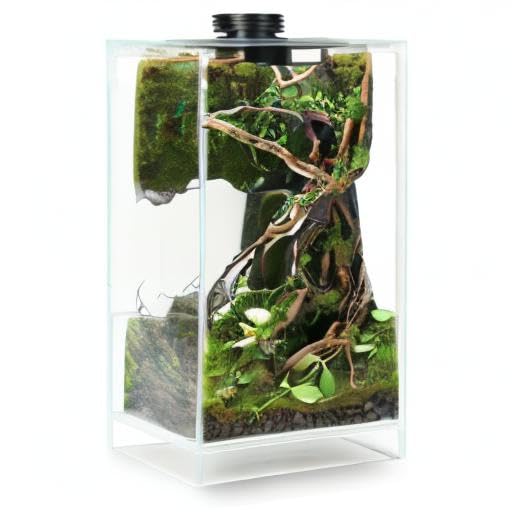 Desktop Glass Plant Terrarium with Grow Light(L7.8 W7.8 H14), for Succulent, Moss, Miniature Gardening Landscape, Betta Fish Tank, Indoor Plant Growth, Office Home Decoration (TimeControlled)