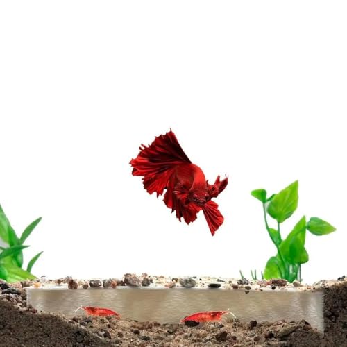 Aquarium Shelter House Fish Tank Decoration Ornament Pet Supplies Aquarium Tank Cave(Brown)