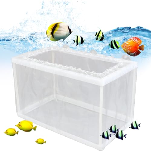 Hatchery Net Box – White Nylon Isolation Chamber, Breeding Container for Aquatic Fry, Tank Divider with Suction Cups | Secure Separation Setup Supporting Safe Growth Inside Aquarium Environments - size: Large