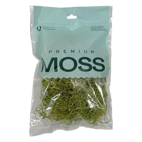 Preserved Spanish Moss - Decorative Dried Moss for Crafts, Home Decor, Art, Design & DIY Projects - for Indoor Use - Chartreuse - Small Size - color: Chartreuse, size: Small