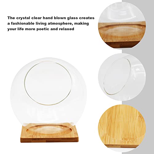 Plant Terrarium Display Glass with Bamboo mat, Tabletop Succulent Air Plant Planter Globe, Mini Terrarium Garden, Round Beveled Glass vase, Micro Landscape eco vase,for Succulents, Air Plants, Moss