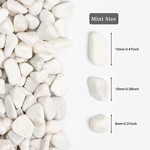 11lbs White Natural River Rocks, Polished Pebbles for Plants Garden, 0.3-0.8 inch Decorative White Stones, Ideal for Fish Tank, Vases, Crafting, Home Decor and Garden Landscaping Rocks,White - size: 11 Pounds, style: Snow White