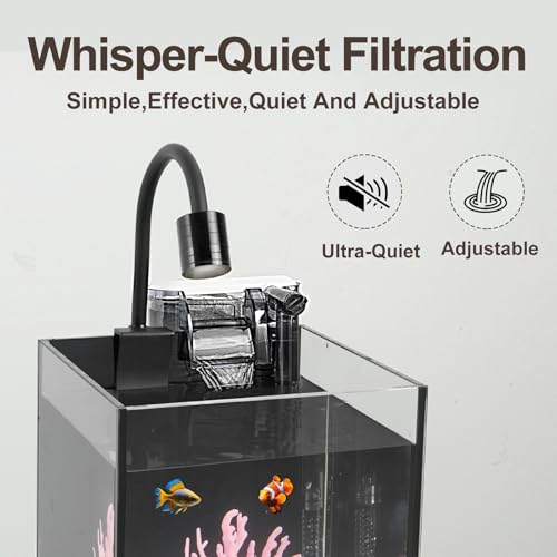 DIY Aquarium Masterpiece Kit - Create Your Own Unique Ocean Aquascape with Natural Shells, Vibrant Corals, RGB Color Lights, Filter, Pump and 1.2Gal Cube Rimless Tank