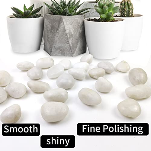 10LB White Pebbles for Plants,1-2.2 Inch Polished Stones for Indoor Pants, Decorative River Rocks for Landscaping. Succulents, Crafting,Fish Tank,Garden,Vase Filler, Outdoor Decoration - size: 10LB, style: White