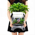 Geelin 1 Gallon Plastic Aquaponic Betta Fish Tank Aquaponic with Base and Top, Large Bowl Shatterproof Ecosystem Aquarium with Clear Clarity for Terrarium, Flower Vase Betta Fish Centerpiece Gifts - size: 1 Gallon
