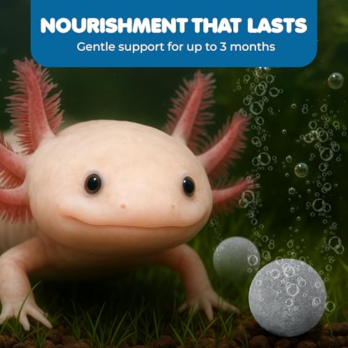 SunGrow Tropical Fish Water Conditioner Balls, Gray Stones for Freshwater Tank and Community Aquarium, Calcium-Enriched for Active Fish, 10 Balls per Pack