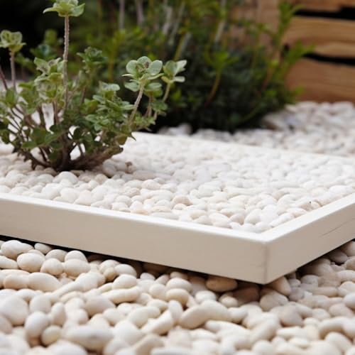 36 LBS River Rocks, StoneCreek, Decorative Garden Stones for Plant Landscaping, Polished Gravel Filler Pebbles for Home Decoration, Vases, Succulents, Flower Beds and Fish Tanks (White, Medium) - color: White, size: 36 LBS