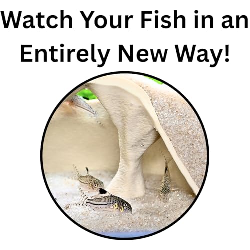 Aquarium Underground Cave Natural Mangrove Tree | Viewing Fish Under Gravel Tunnel Hide | Fish Tank Hideout Decor Decoration Enrichment for Corydora Catfish, Kuhli Loach, Pleco, Betta (Bone White) - color: Bone White
