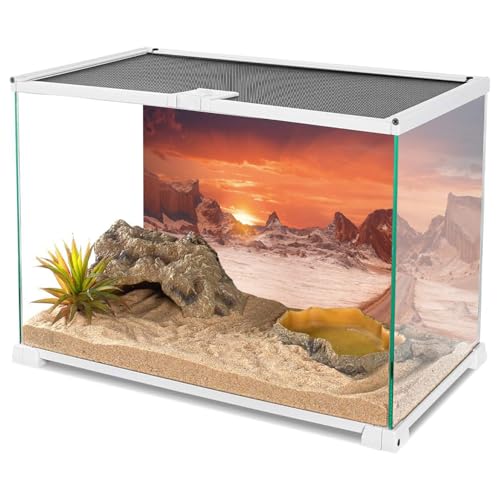 AWERT 72x18 inches Sun and Desert Terrarium Background Orange Reptile Habitat Background Durable Polyester Background - size: 72x18in/180x45cm