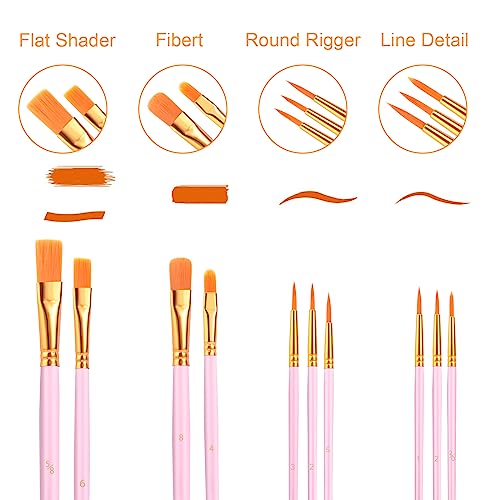 AROIC Acrylic Paint Brushes, 6 Packs/60 pcs Nylon Hair Paint Brush Set for All Purpose Oil Watercolor Painting Artist Professional Kits (Pink) - color: Pink, size: 60pcs
