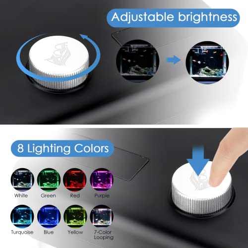 AQQA 1.5 Gallon Aquarium Kits Desktop Small Fish Tank with Filter and Light (8 Colors Adjustable) Freshwater & Saltwater Betta Fish Tank Kit Office & Home Decor (Black)