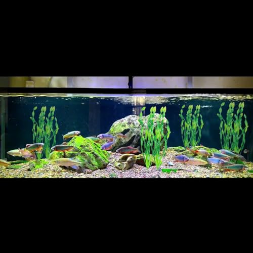 12Pcs Artificial Seaweed Water Plants, Aquarium Decorative Plants, Plastic Fish Tank Plants Decoration for Home and Office Fish Tanks(Green)