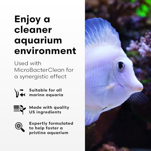 Brightwell Aquatics - Razor Marine - Unique Systemic Fish Tank Cleaner for Marine Aquariums - Aquarium Water Treatments, 33.8 fl oz - size: 1-Liter