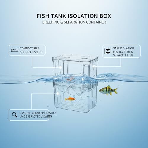 Clear PP Aquarium Isolation Box - Single Compartment Breeding & Separation Tank for Fry and Fish, 3.15 x 2.76 x 3.94 Inches