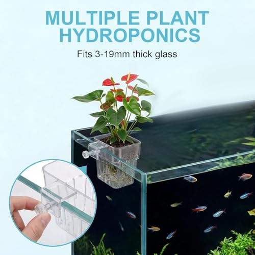 4 Pack Clear Aquarium Plant Holder Top Hanging for Fish Tank, Aquariums Planter Basket Pots for Aquatic Plants