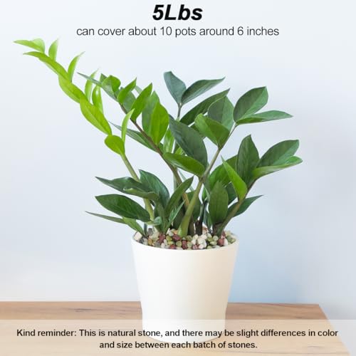 River Rocks,Landscaping Pebbles,Decorative Ornamental Pebbles,Garden Landscaping Stones,Gravel Filler for Home Decoration Flower Bed Fish Tank Plants Vases Succulents (1, Green, 5 Pounds) - color: Green, size: 5 Pounds