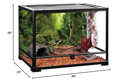 AWERT Tropical Forest Terrarium Background Stream Green Huge Tree Reptile Habitat Background Foggy Rainforest Aquarium Background 36x20 inches Durable Polyester Background - size: 36 x 20 inches