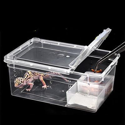 Hypeety Small Reptile Breeding Box for Reptiles Small Snake Turtle Spiders Geckos Frogs Breeding Box Case Feeding Hatching Container Reptile Tank Terrarium