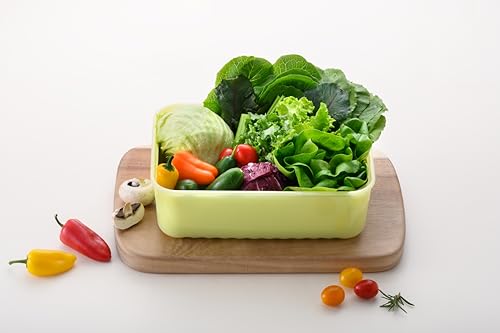 LocknLock Fresh-Block Plastic Food Storage Container | Produce Storage Containers for Fridge | Vegetable & Fruit Storage Containers for Fridge, Airtight Storage, Microwave & Dishwasher Safe, 3.2L - size: 3.2L